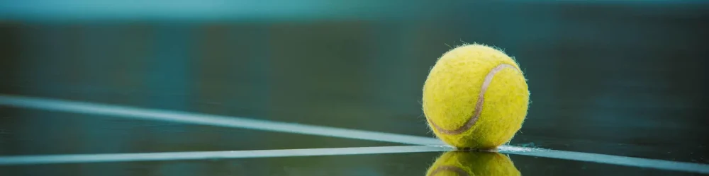 Header Image